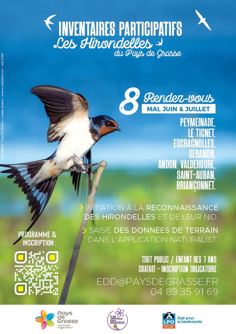 Inventaires hirondelles 2026 CAPG