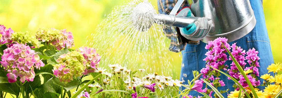 ressource en eau au jardin CAPG