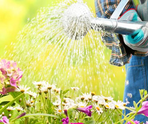 ressource en eau au jardin CAPG