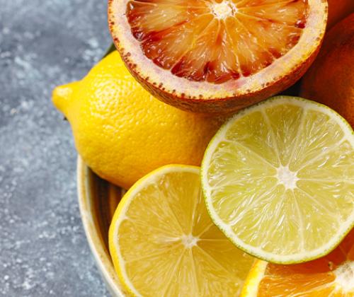 Formation les agrumes Pays de Grasse