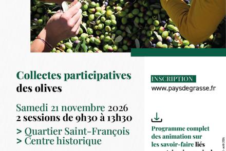 récoltes participatives des olives Grasse CAPG