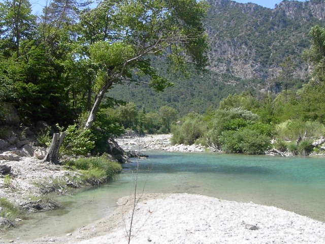 hghgh