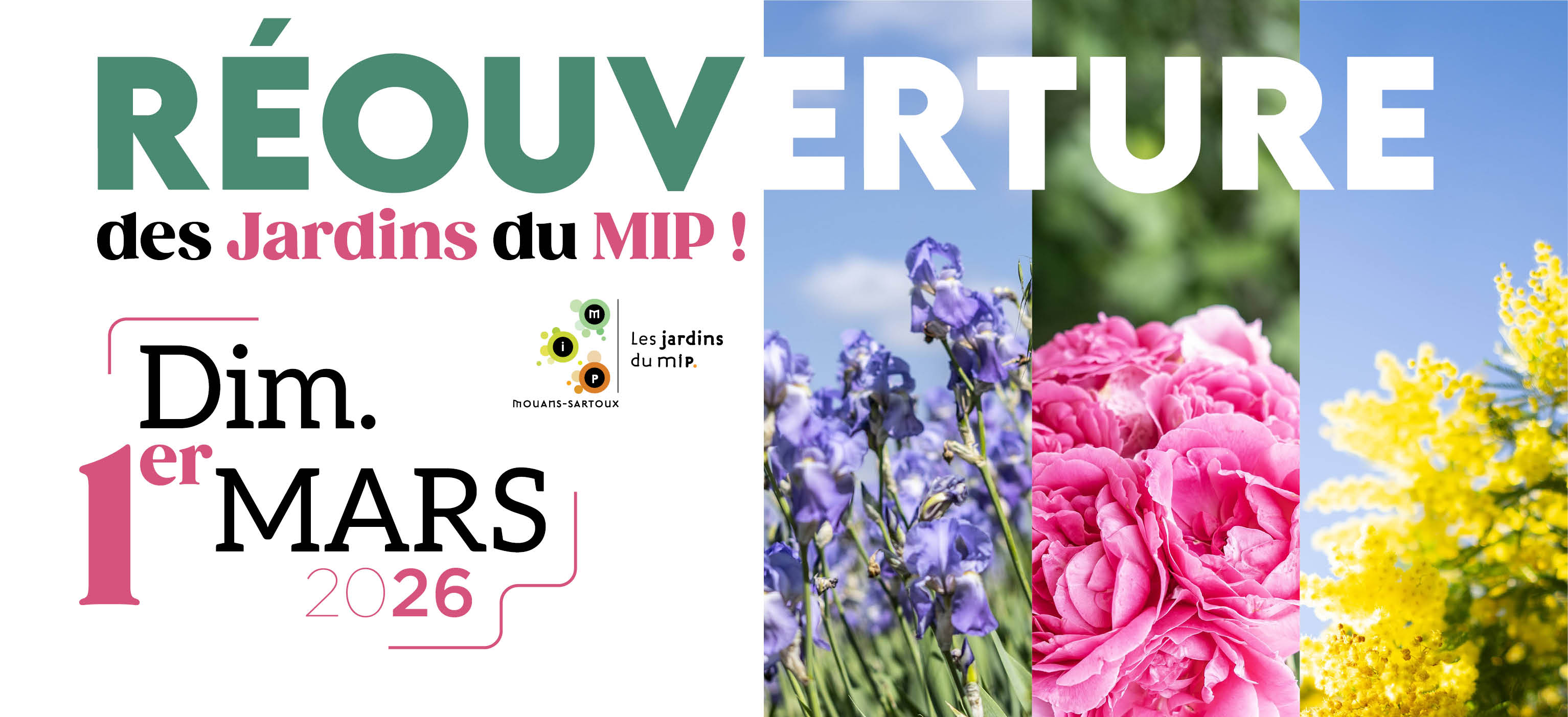 Réouverture des Jardins du MIP
