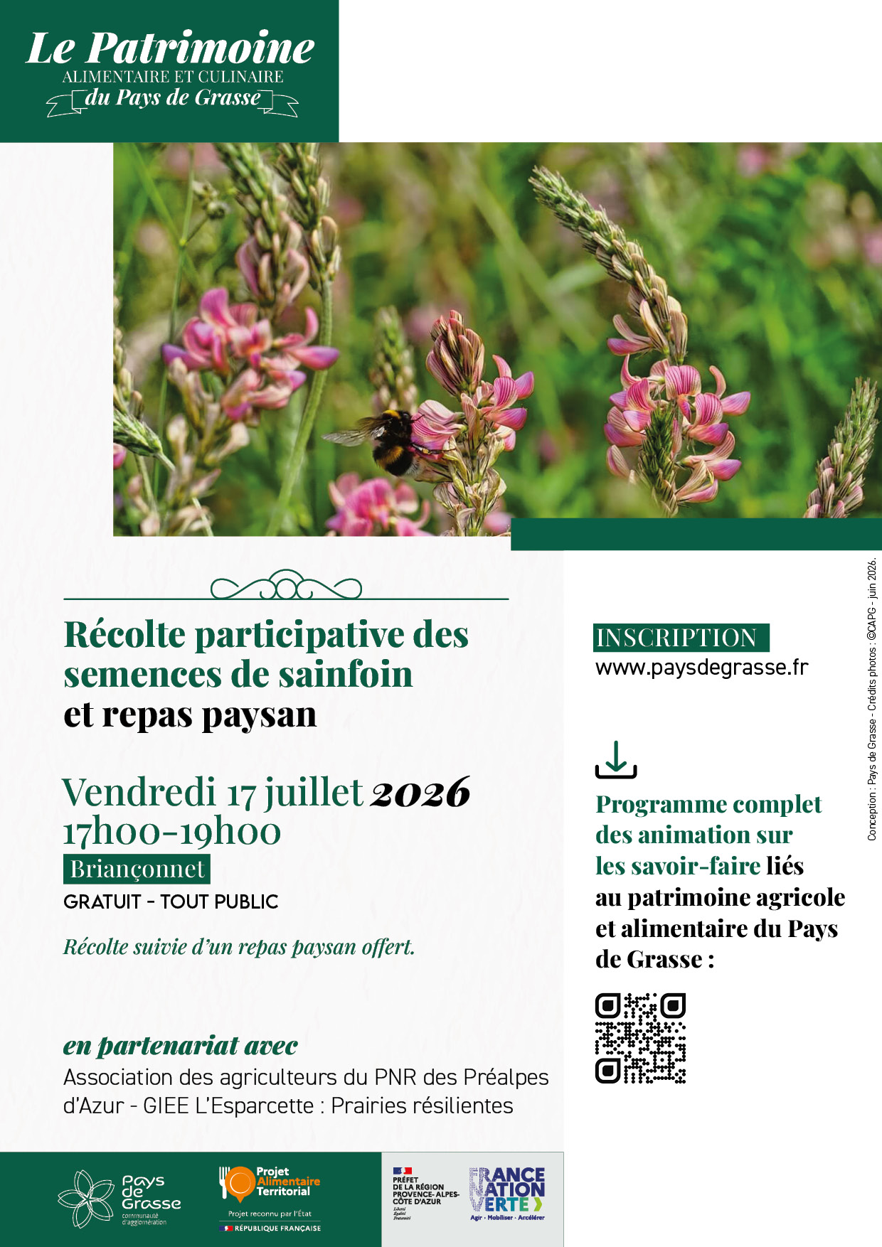 Récolte semences sainfoin Briançonnet