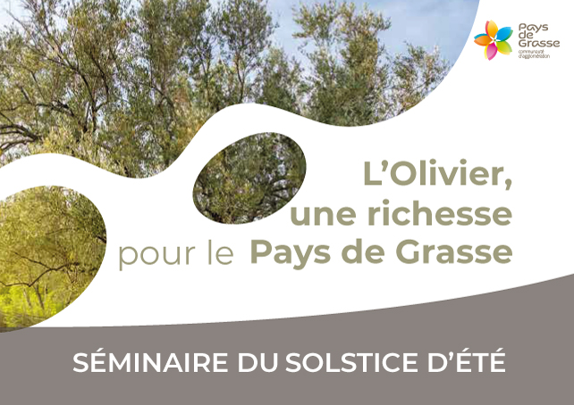 Séminaire Solstice d'été 2025 - L'olivier, une richesse pour le Pays de Grasse