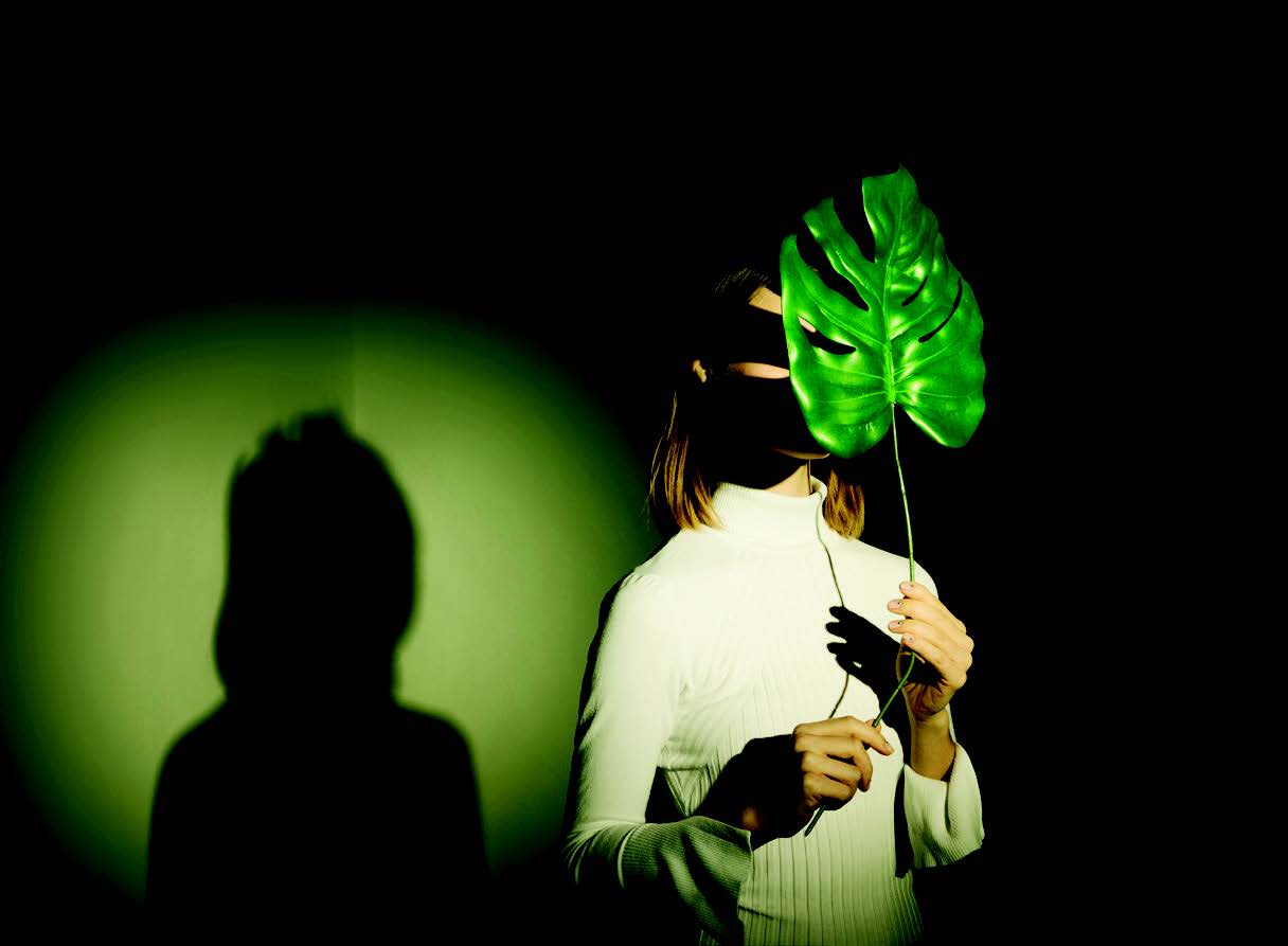 ddee