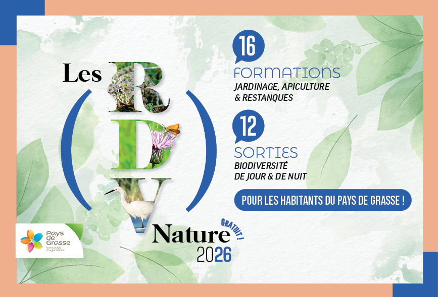 Sortie faune Mourachonne Pays de Grasse