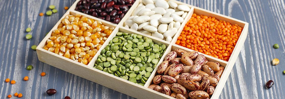 Formation jardinage Pays de Grasse