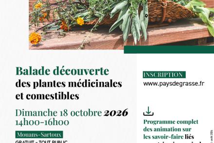 balade plantes médicinales pays de grasse