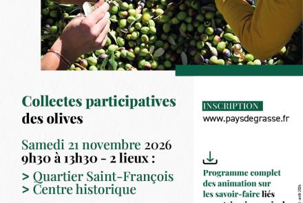 recoltes participatives olives Grasse CAPG