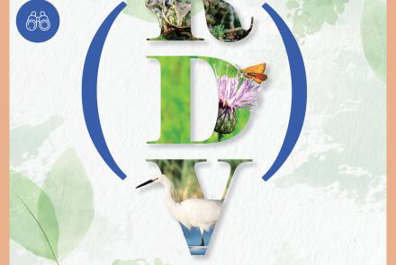 sortie prairies inondables et leur biodiversité CAPG